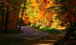 fall farm road