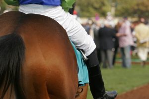 Detail of horse and jockey with nicely blurred background of racing fans.
