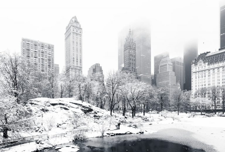 Winter in Central Park, NY