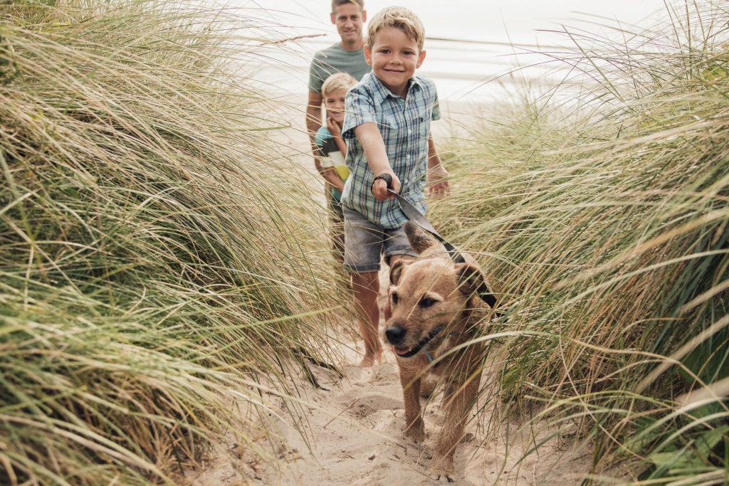 Low angle view of a little boy and his family walking the dog through the sand dunes.