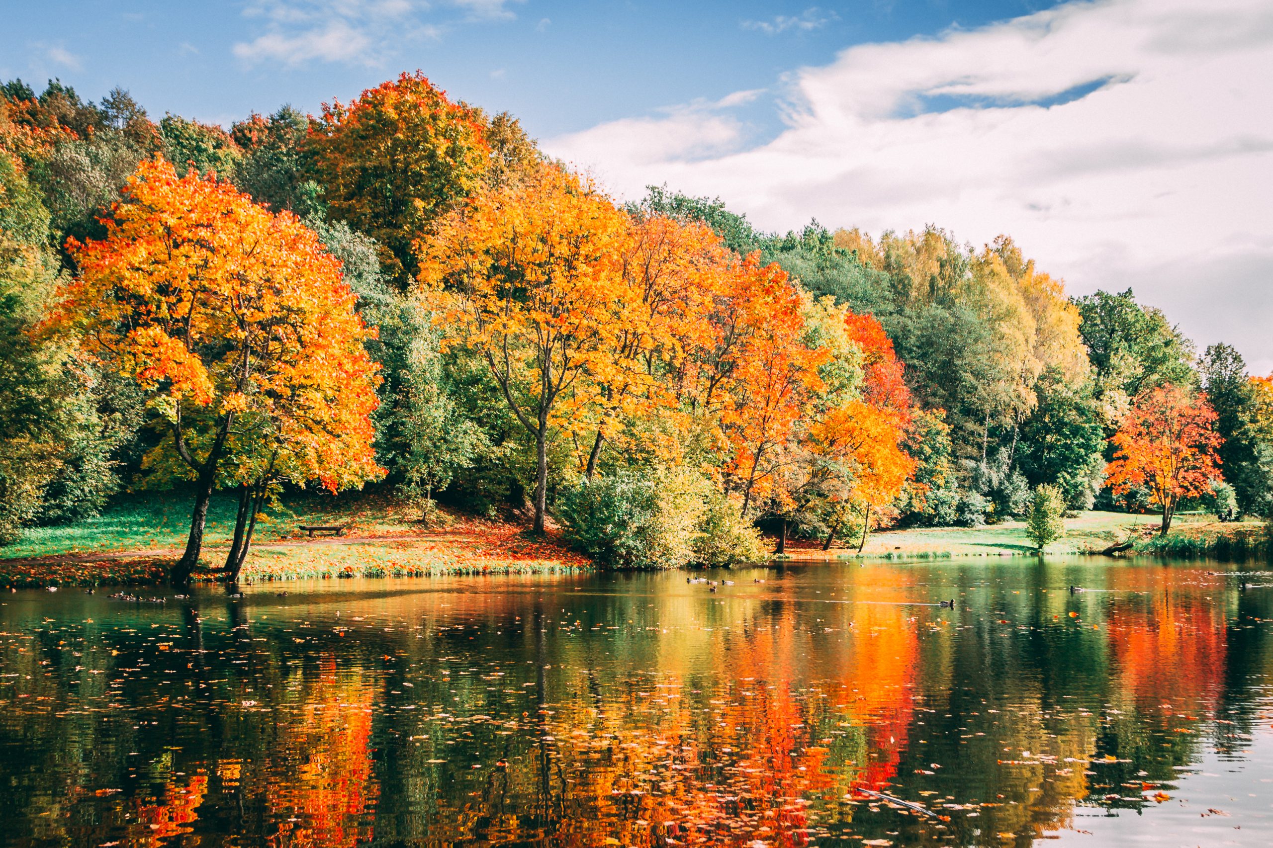 best fall destinations autumn leaves changing by the water