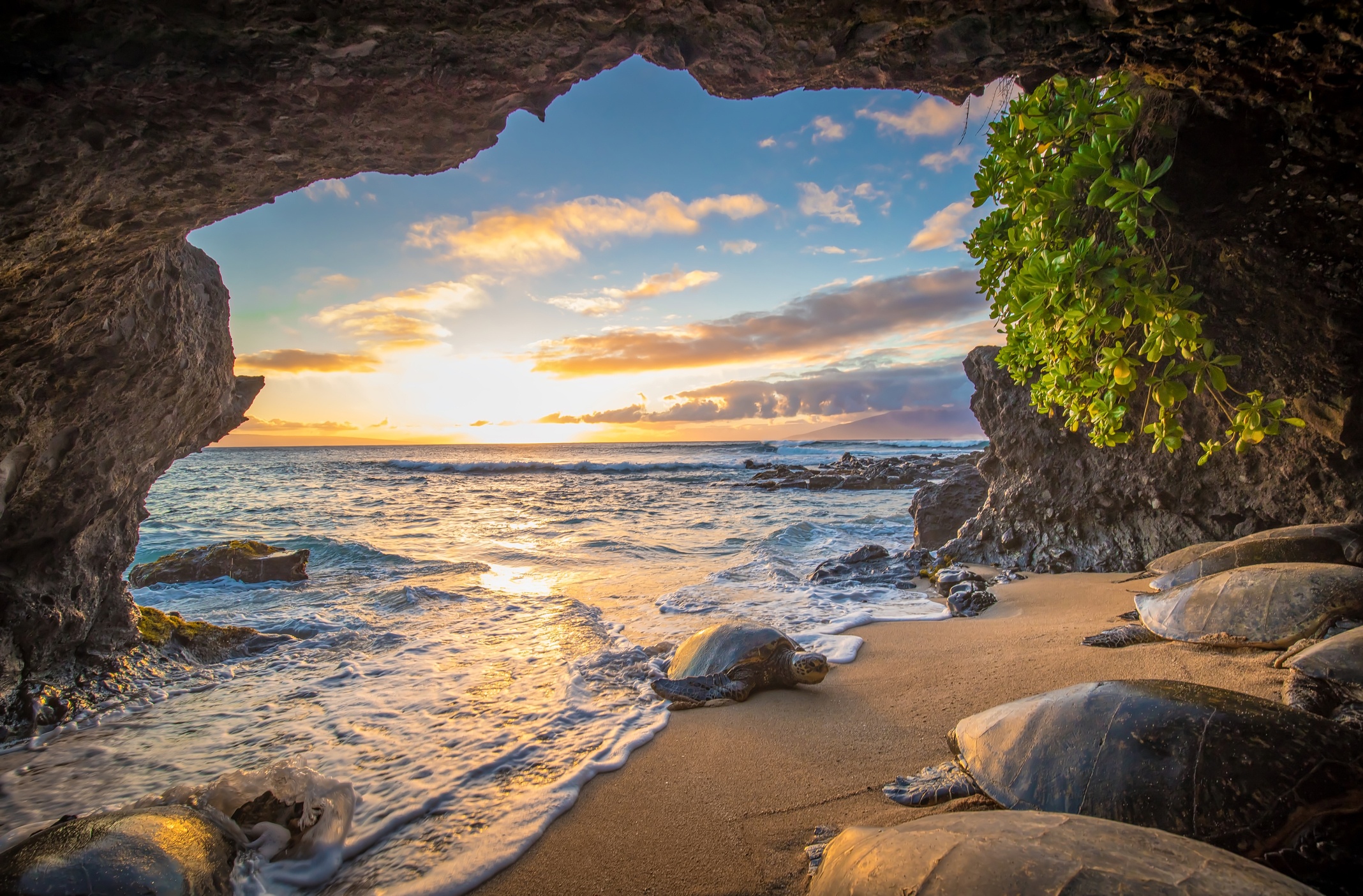 Maui, Hawaii 2020 Holiday Destinations Private Jet