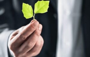 Sherpa Report Features Magellan Jets’ Carbon Offset Partnership With Terrapass