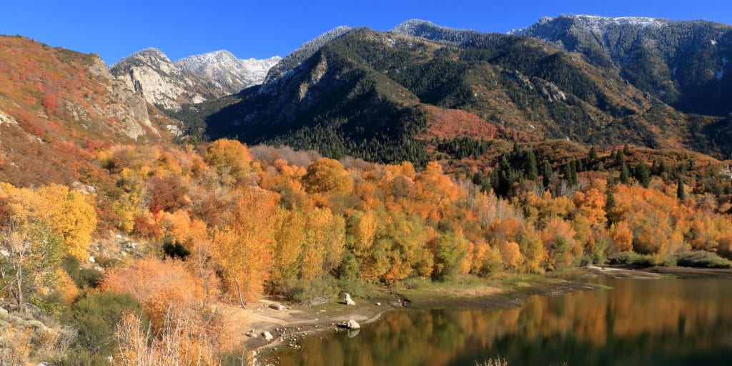 8 U.S. Cities For Those Who Love Fall