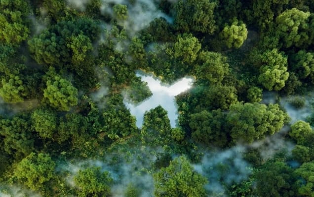 Eco-Friendly Private Jets: Sustainable Air Travel