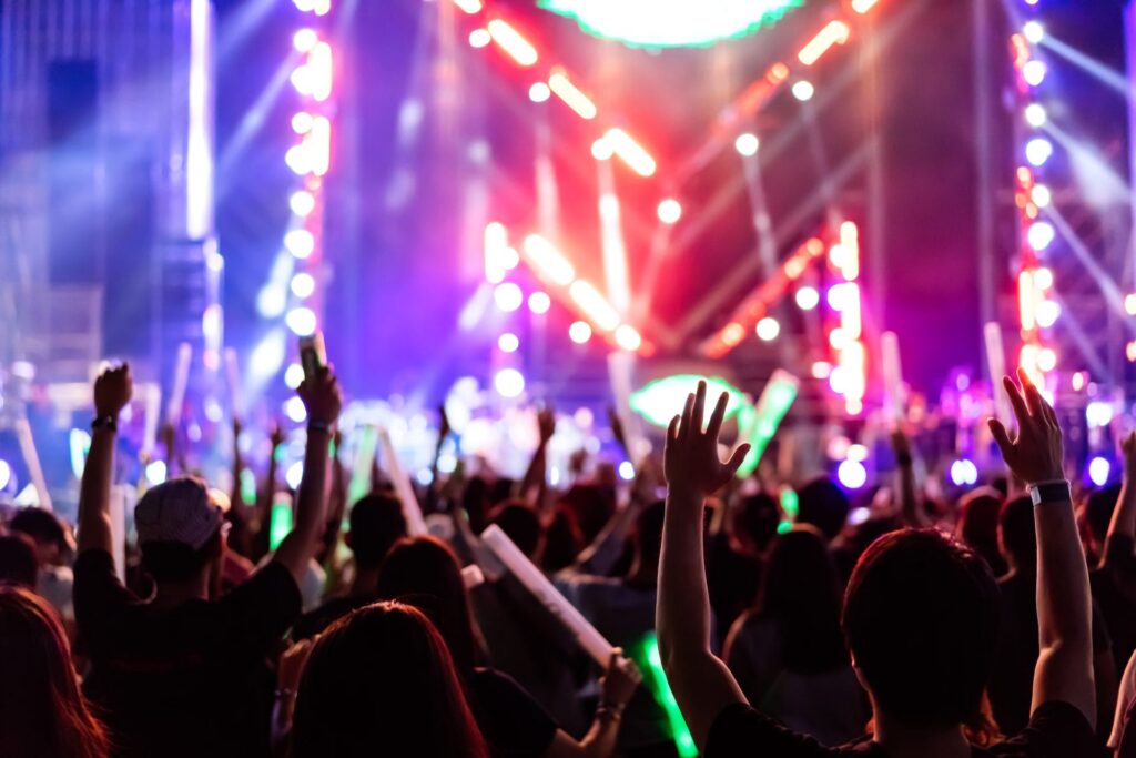 Crowd at music festival