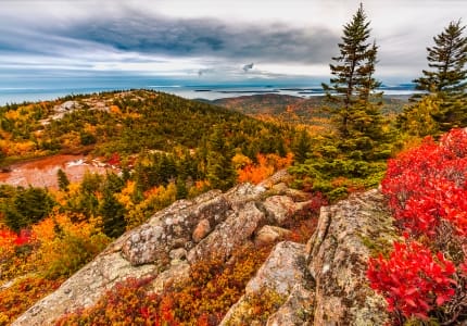 Fall foliage