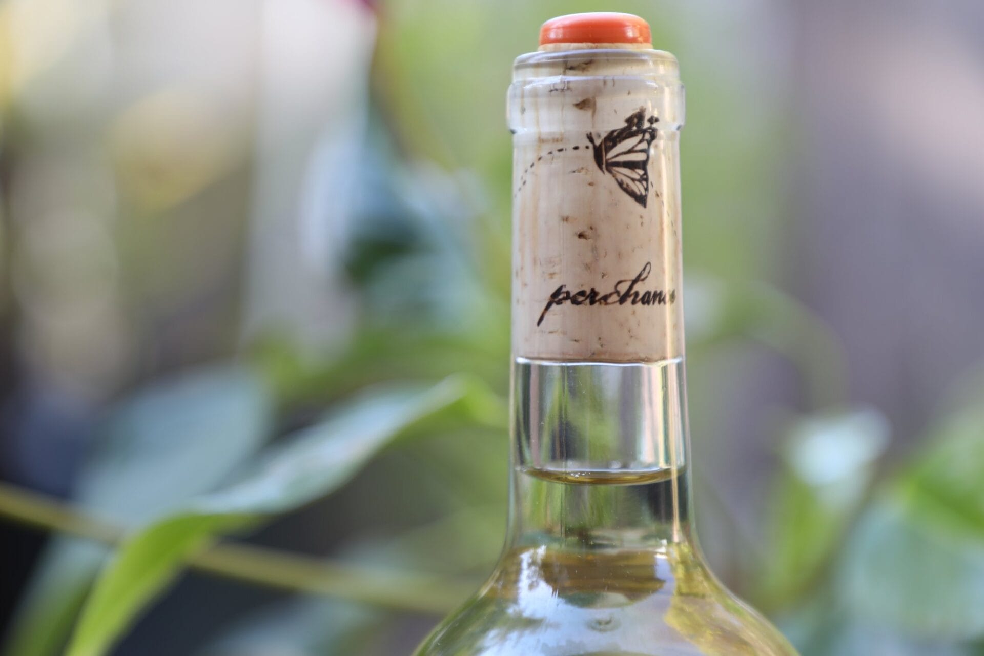 perchance wines