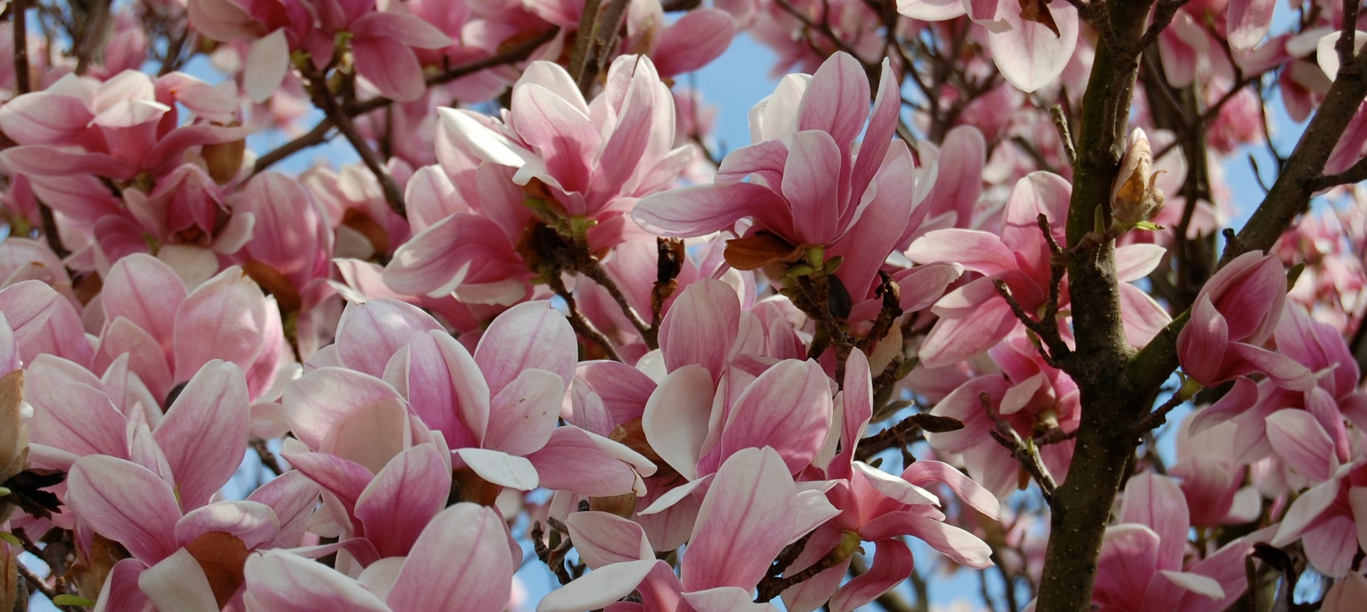 tickets to the Masters