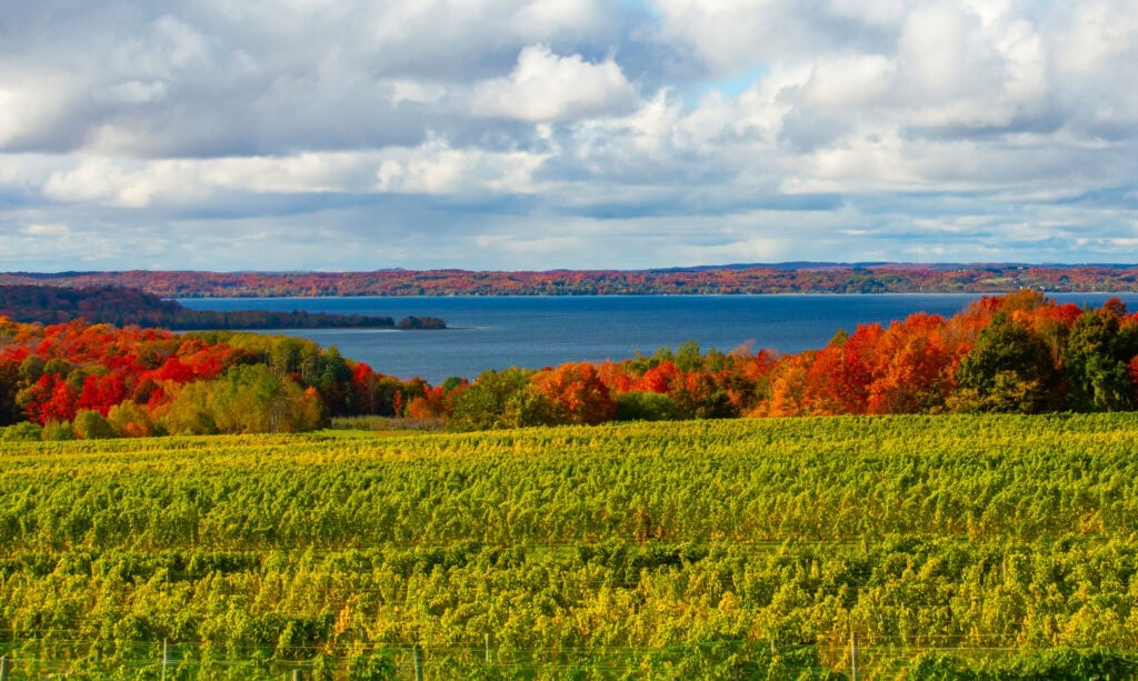 Traverse City 