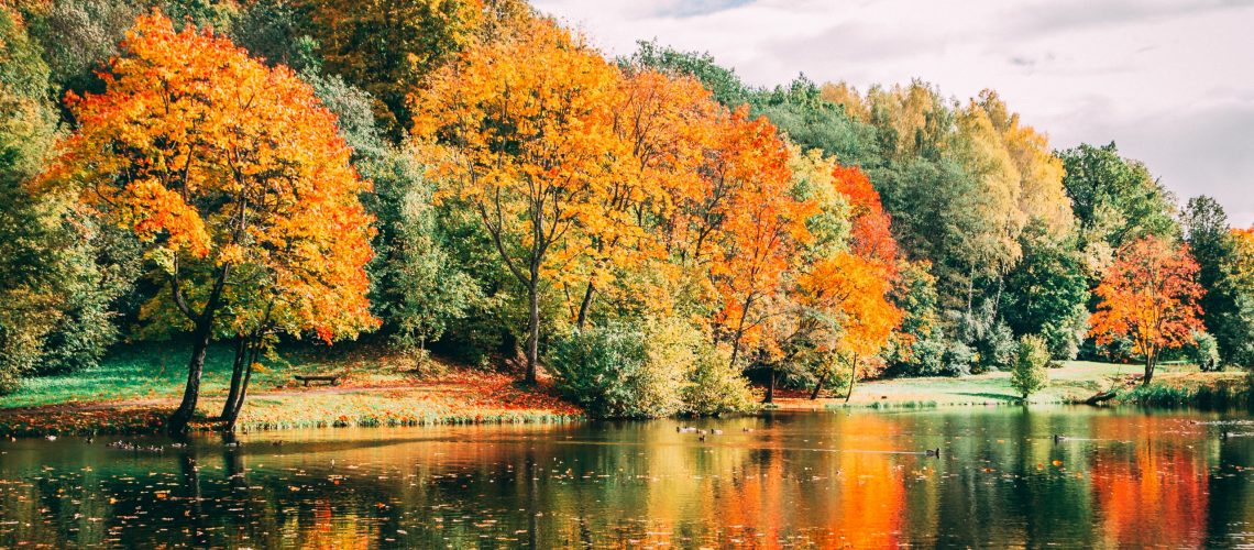 best fall destinations autumn leaves changing by the water