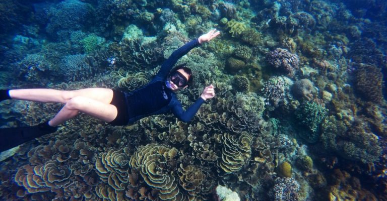 Lovango Coral Restoration